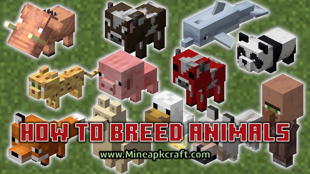 How to Breed Animals in Minecraft